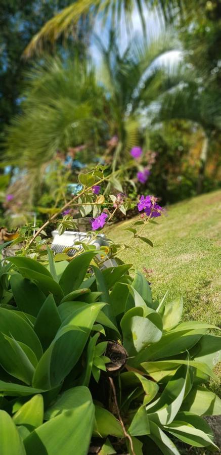 Pousada Guaruja 봄비나스 외부 사진