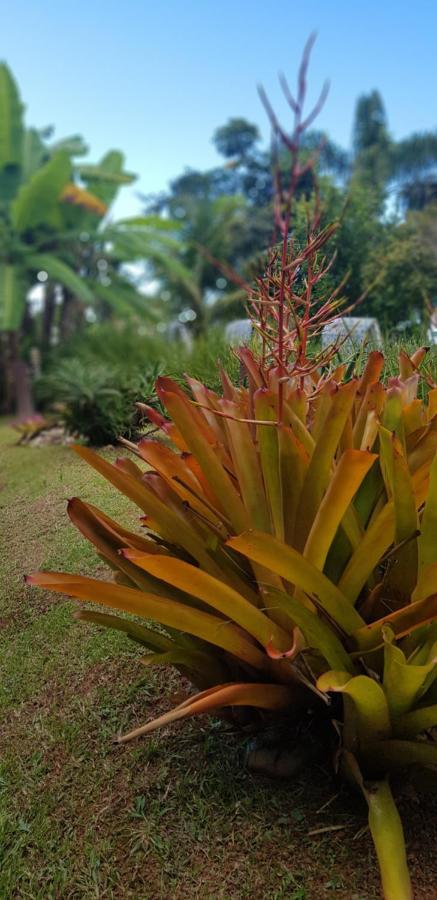 Pousada Guaruja 봄비나스 외부 사진
